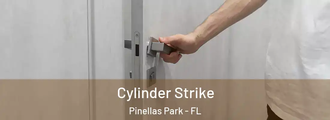  Cylinder Strike Pinellas Park - FL