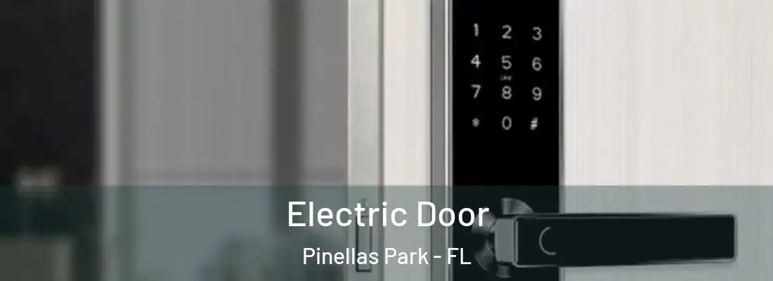  Electric Door Pinellas Park - FL