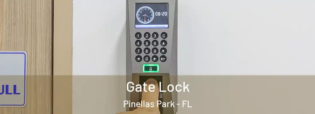  Gate Lock Pinellas Park - FL