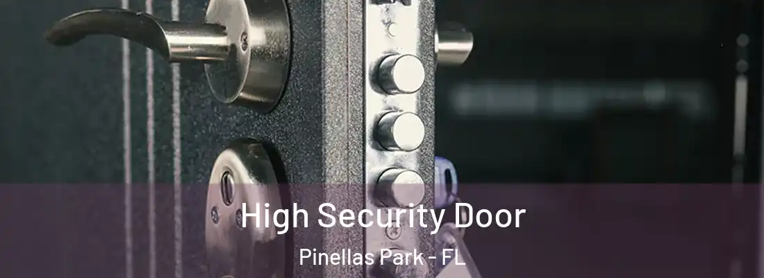  High Security Door Pinellas Park - FL