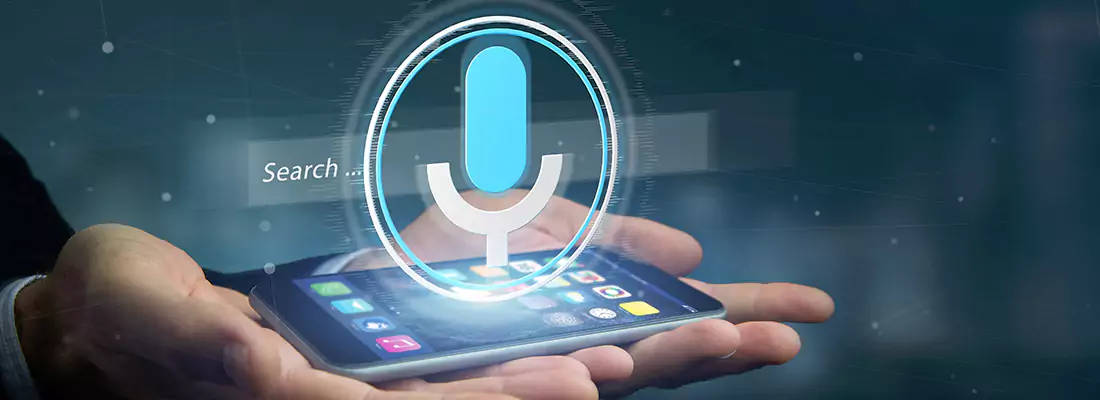Enhance Security with Voice Recognition Access Systems in Pinellas Park, FL