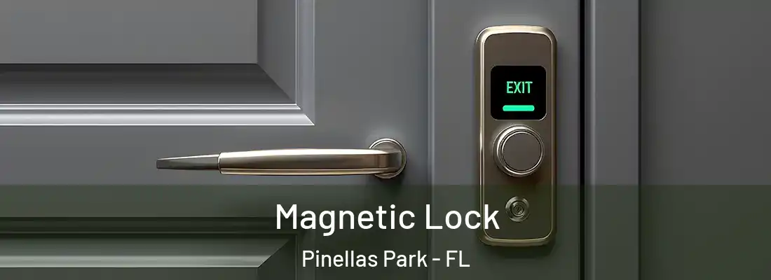  Magnetic Lock Pinellas Park - FL