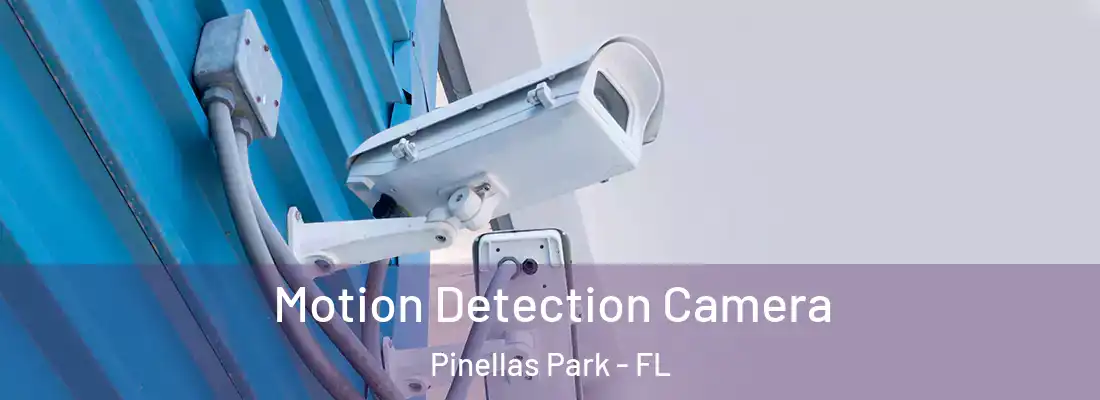 Motion Detection Camera Pinellas Park - FL