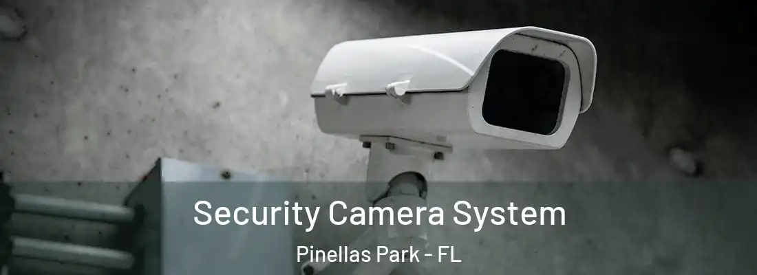 Security Camera System Pinellas Park - FL